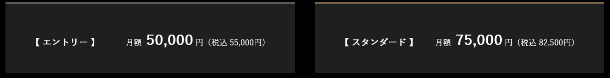 料金はエントリーとスタンダードの2パターン